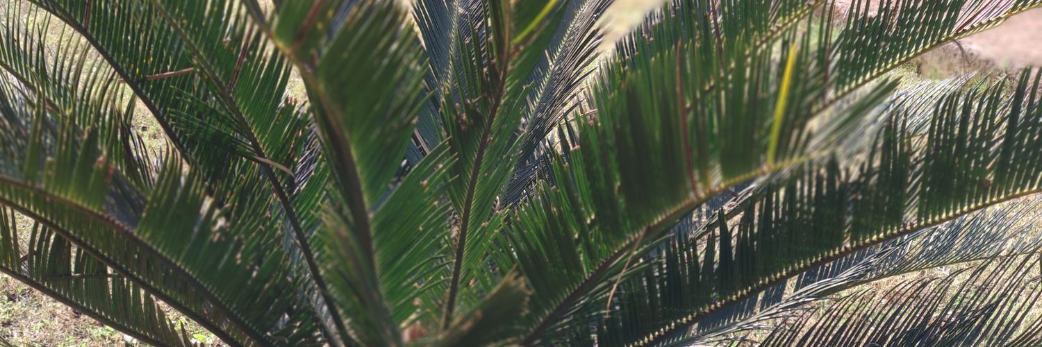 rahuldesirable's profile banner image
