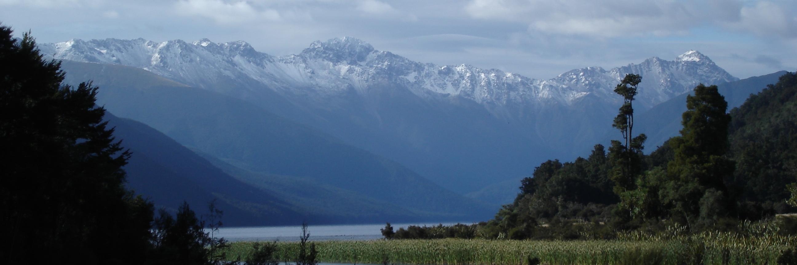 Allison Kaptur banner