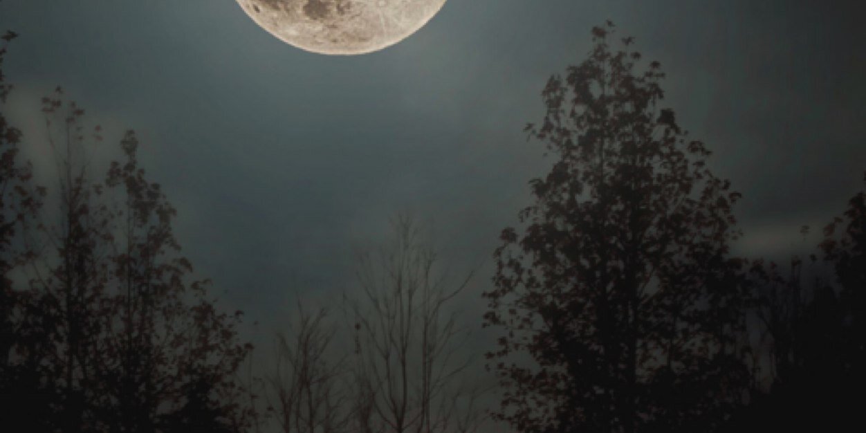 ابو نواف 🇸🇦💙 banner