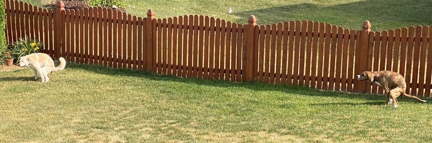 TylerJensen25's profile banner image
