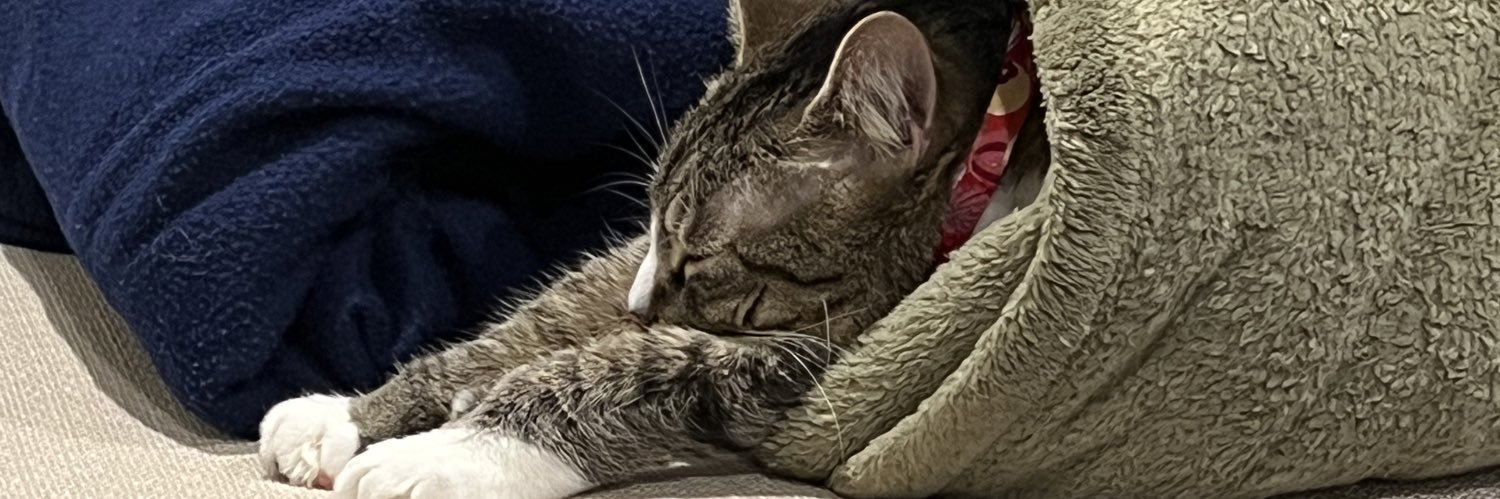 naaabsz's profile banner image