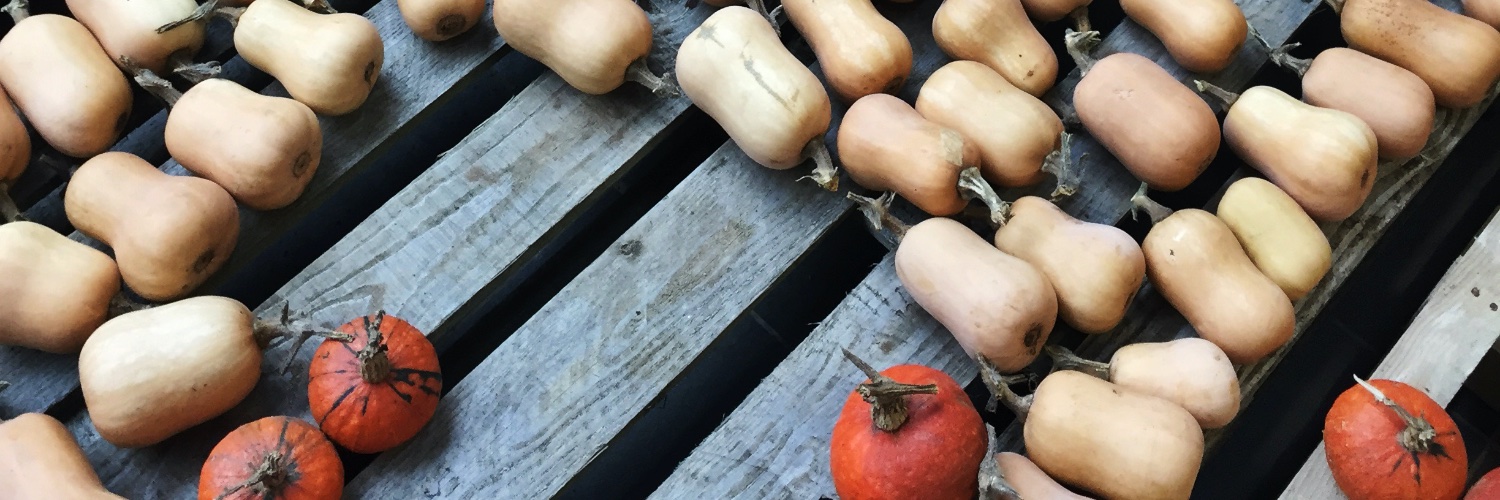 Frideswide O'Neill banner