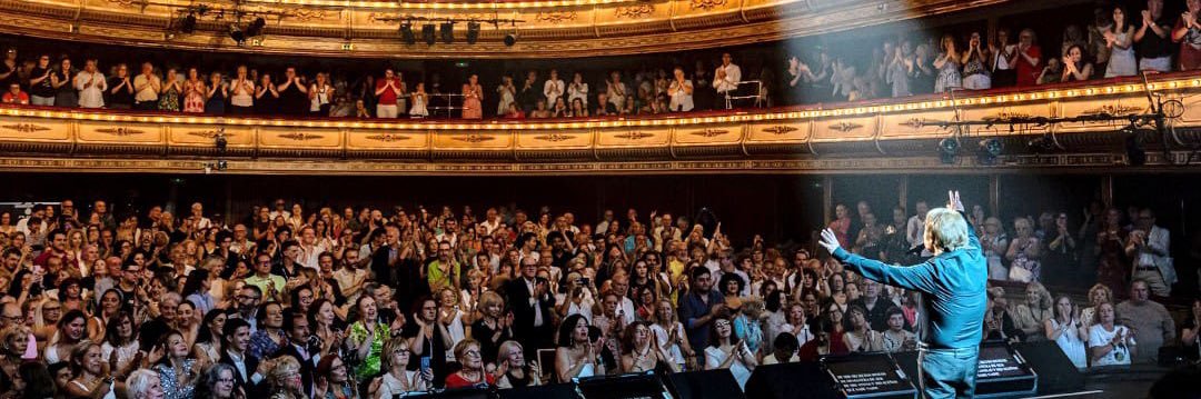 Raphaelistas México banner