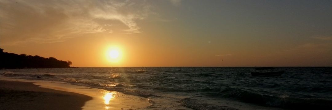 aleTorrijos's profile banner image