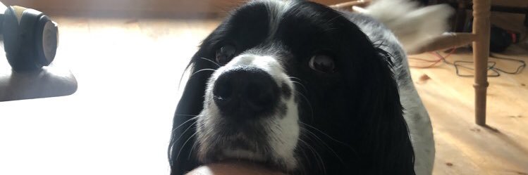 Daniel Kendall banner