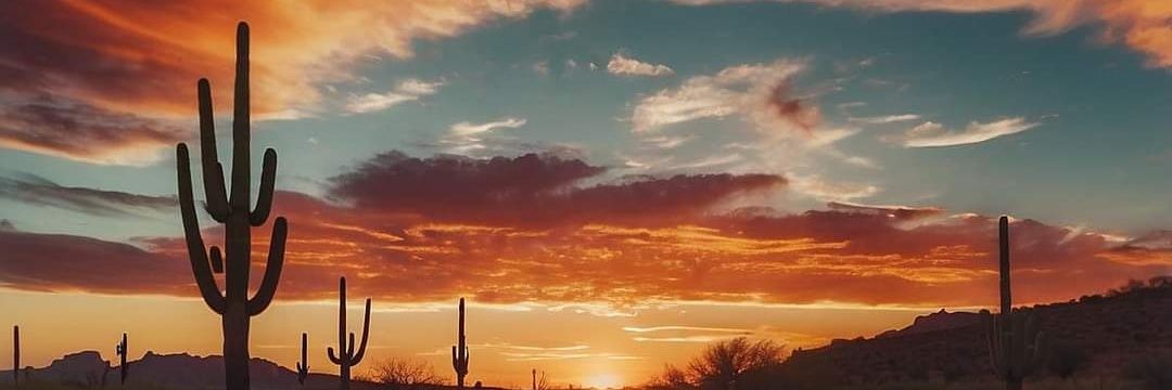 JShell74's profile banner image