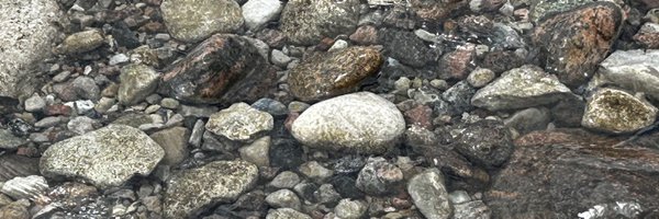 PPaolitto Profile Banner