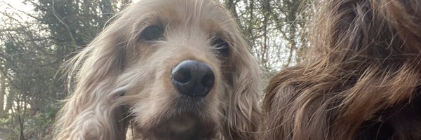 kerrifeeney1 Profile Banner