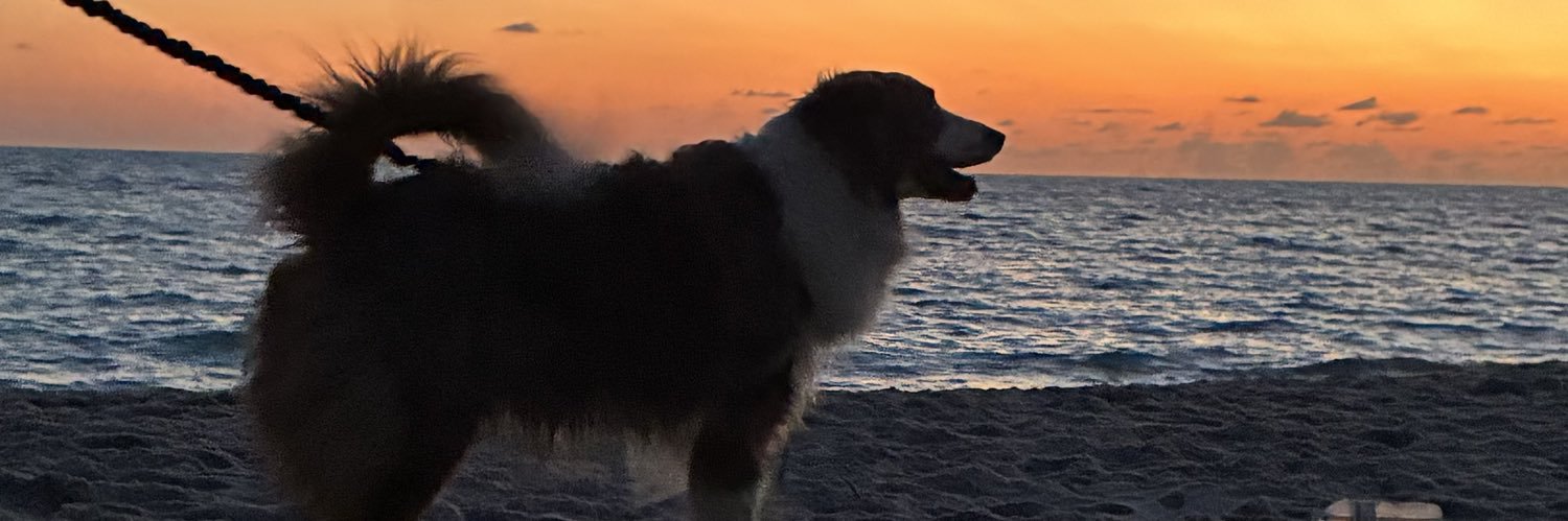 ellobecca's profile banner image