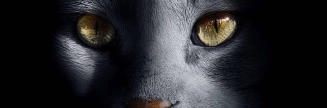 Leeennaa83's profile banner image