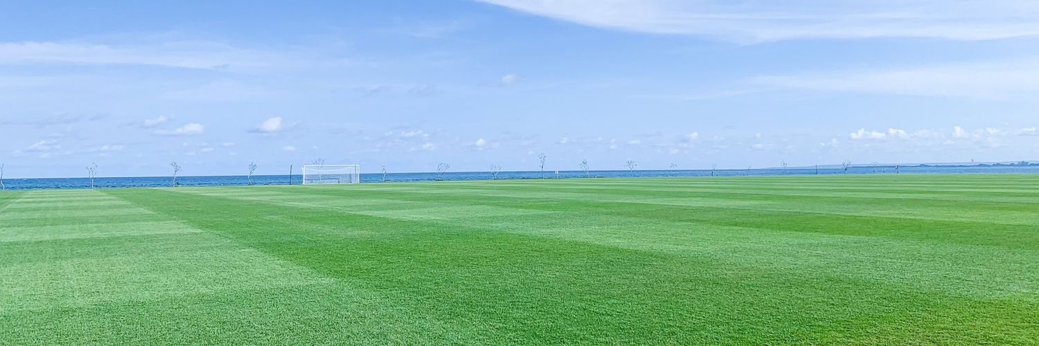 coyshrimp's profile banner image
