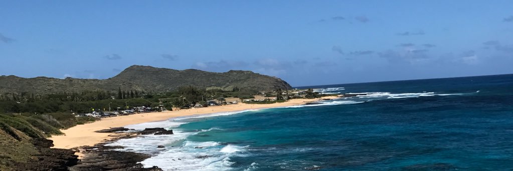 Ginnie banner