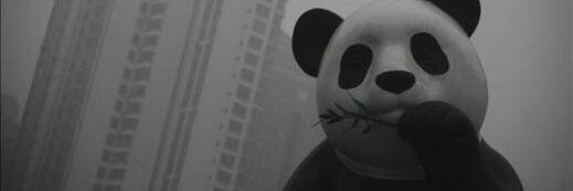 Sandy_szx's profile banner image