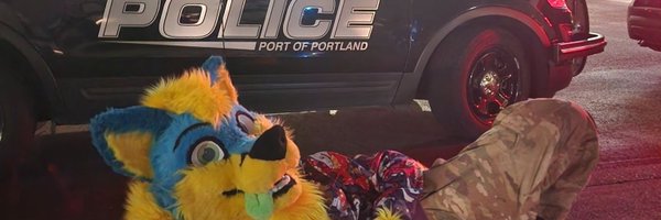 SkyeTheGunFox Profile Banner