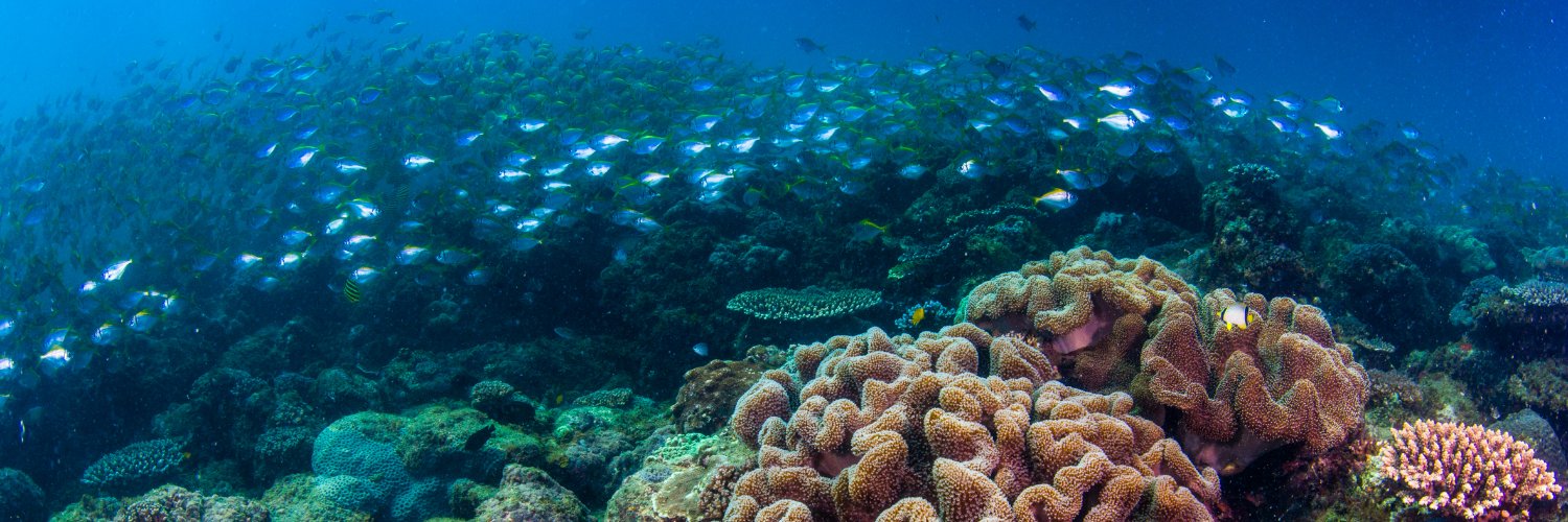 Reef Check Australia banner