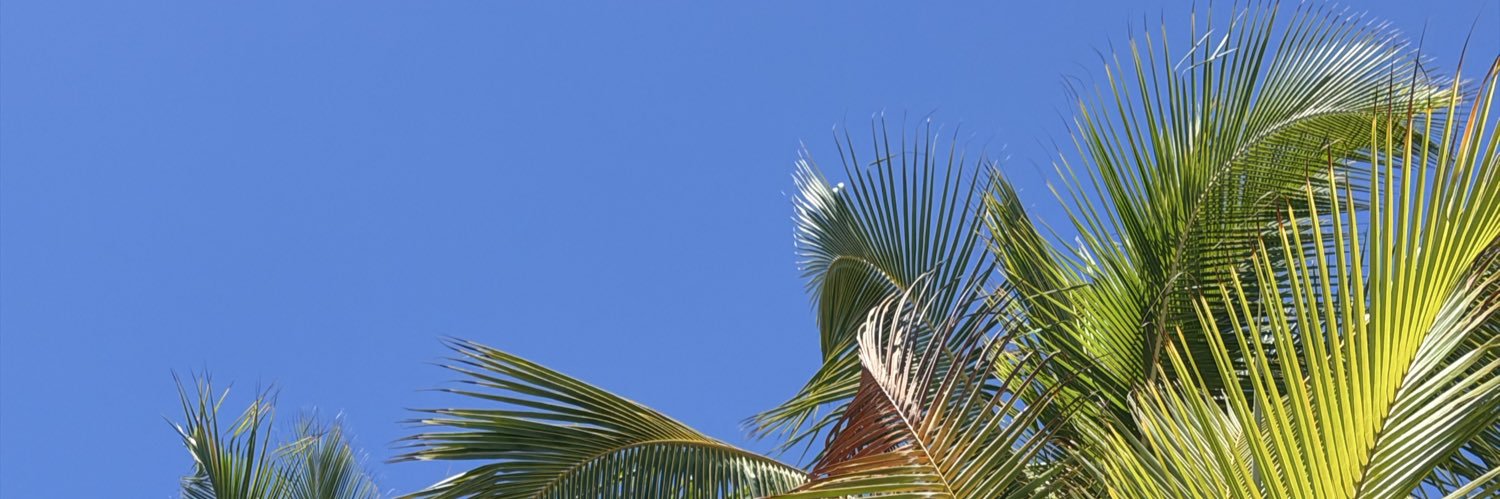 JorgeMarioMiran's profile banner image