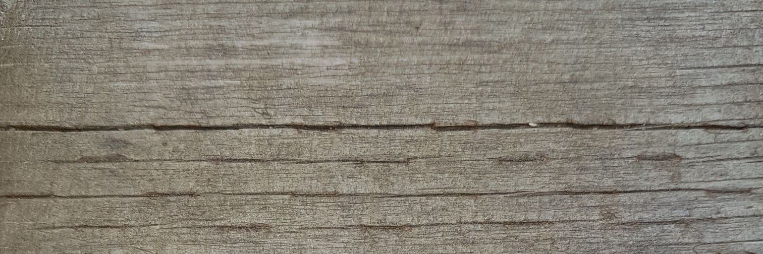 LammersCarla's profile banner image