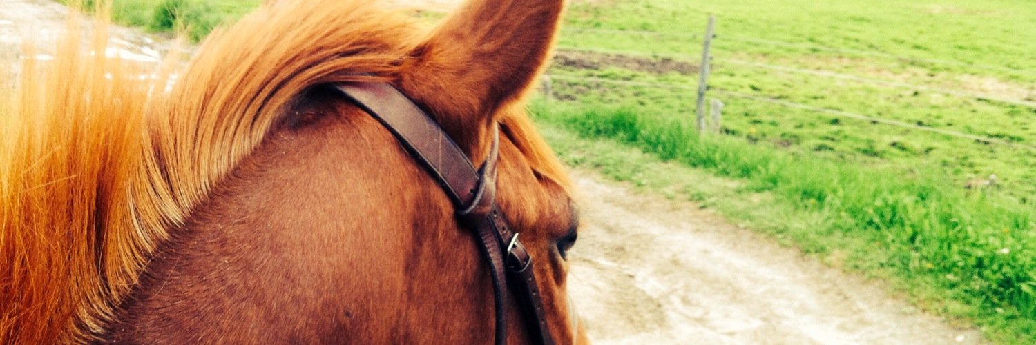 jess_mcfaul's profile banner image