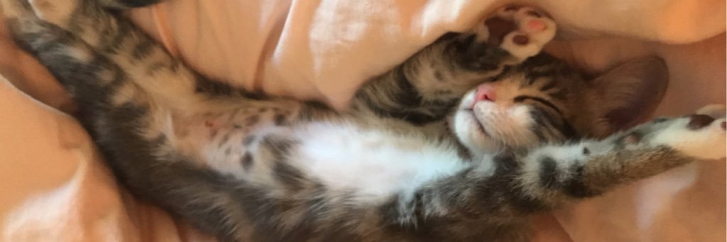 VictoriaHudman's profile banner image