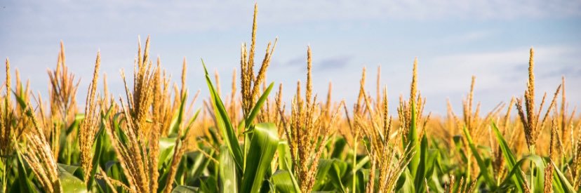 The Real Big Ten banner