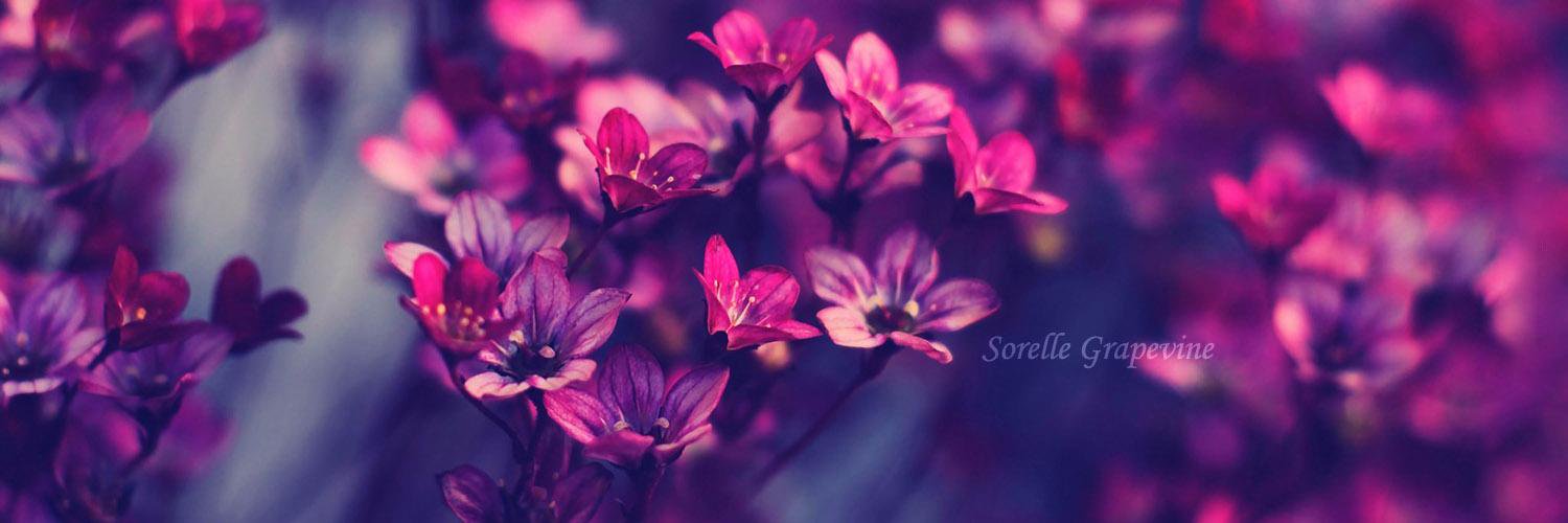 leospice's profile banner image