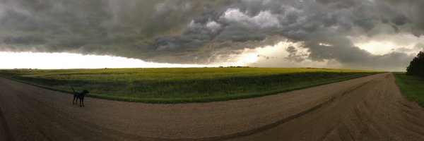 KelliWhite6 Profile Banner