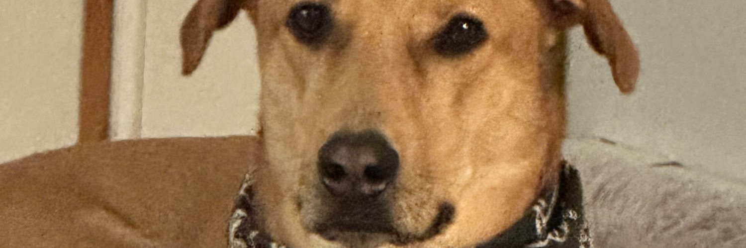 KnapperNapping's profile banner image