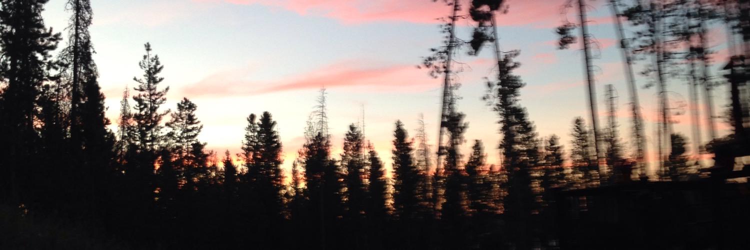 p_s_west's profile banner image