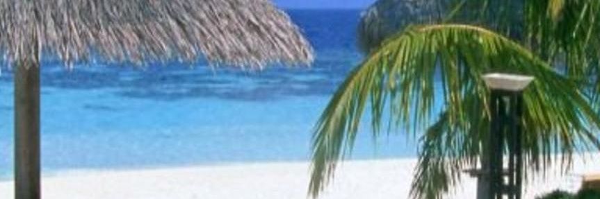 barreraivann's profile banner image