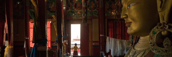 TCristofoletti Profile Banner