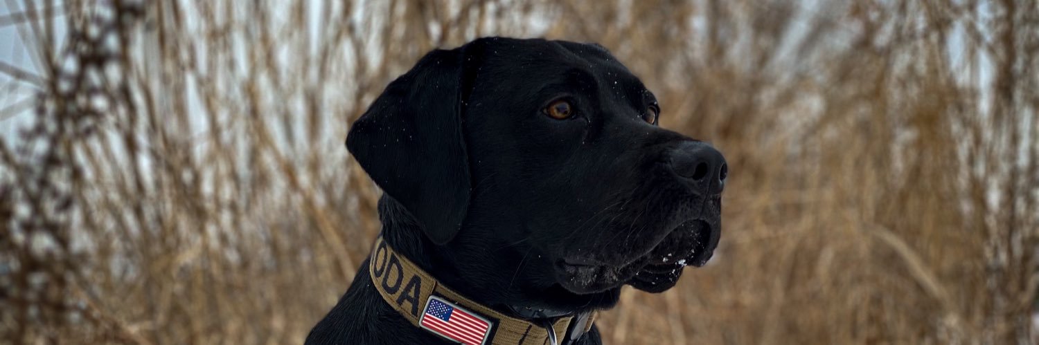 Jake Callaway banner