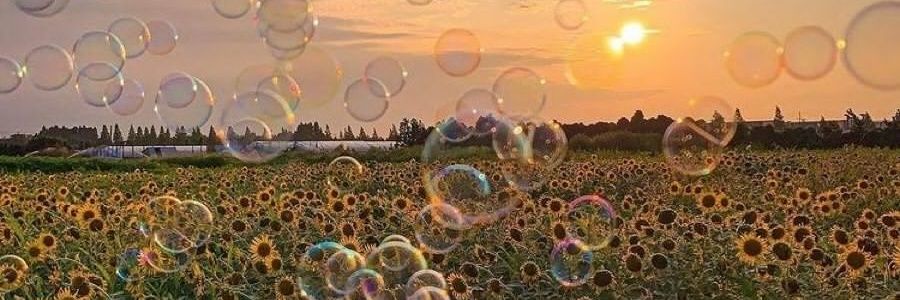 BereniceCastolo's profile banner image