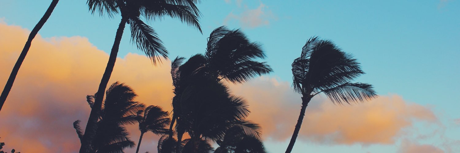 SalaiaR's profile banner image