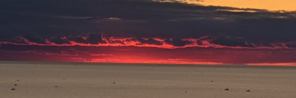 101mob Profile Banner