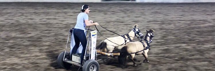 Ashley Webster banner