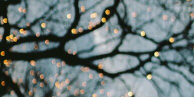 _AmberRoseClark's profile banner image