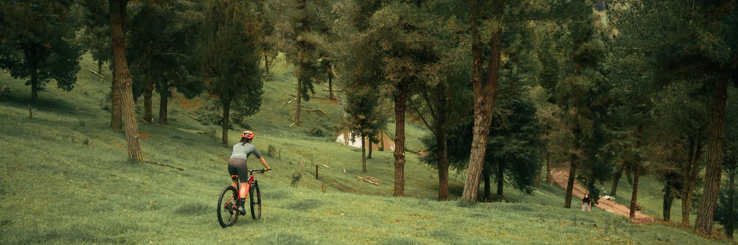domevalch's profile banner image