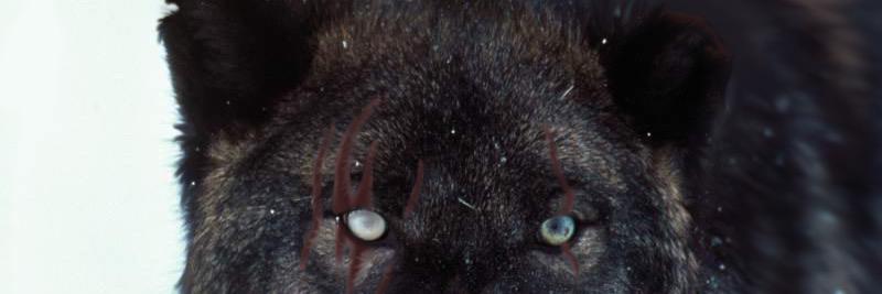 PrettyBoyyFloyd's profile banner image