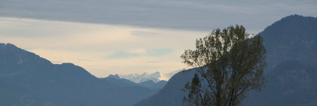 Gulo_gulo's profile banner image