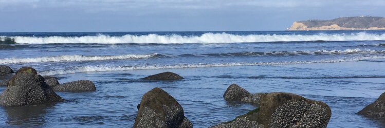 Jenna Vickers banner