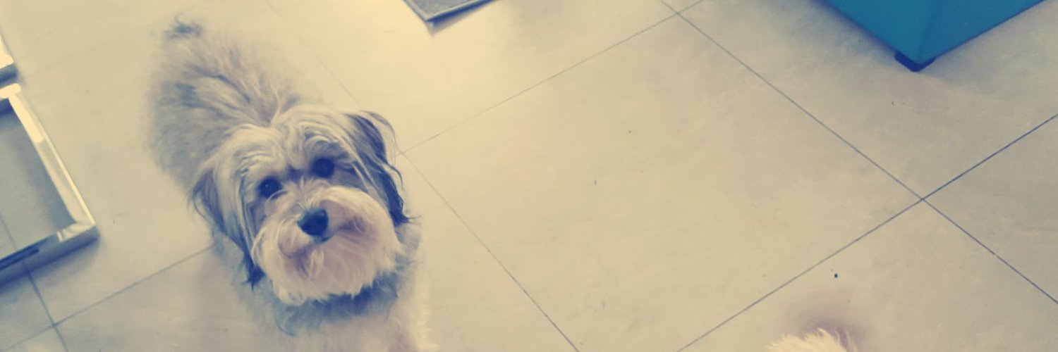 mirita88's profile banner image