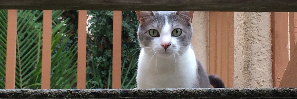 benitezja's profile banner image