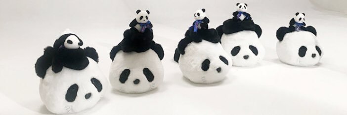 achacha04's profile banner image