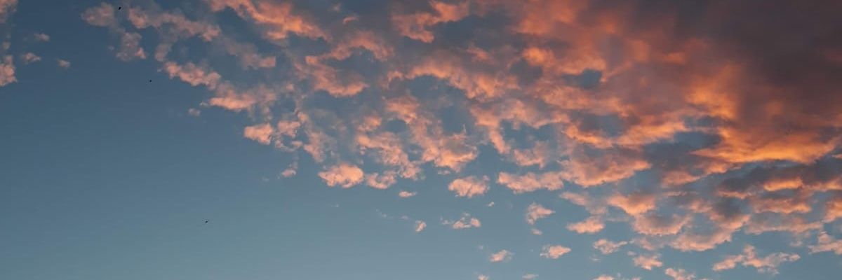 lrdecarvalho's profile banner image