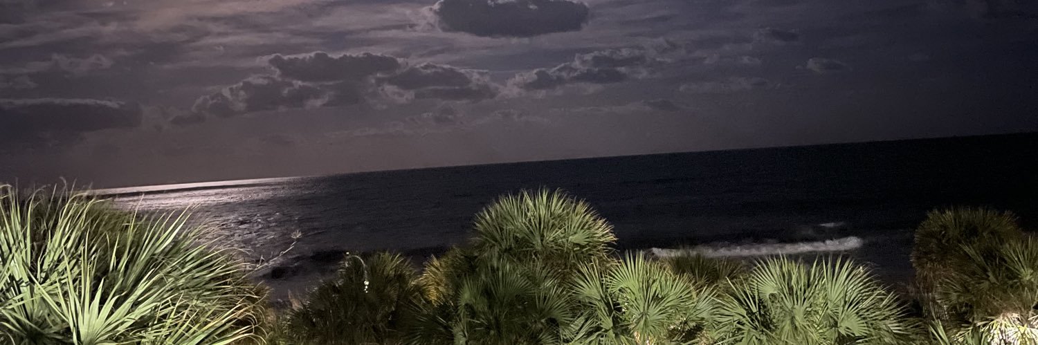 danielleeee__4's profile banner image