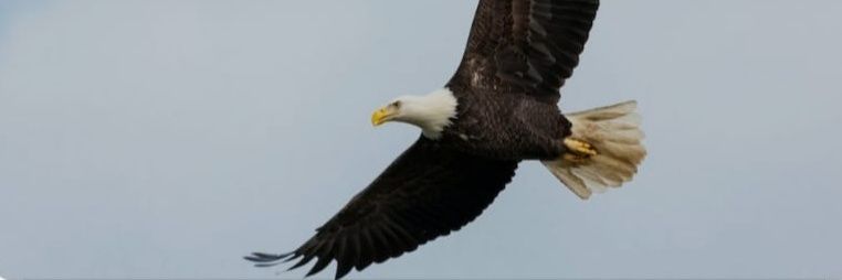 duncanenterpris's profile banner image