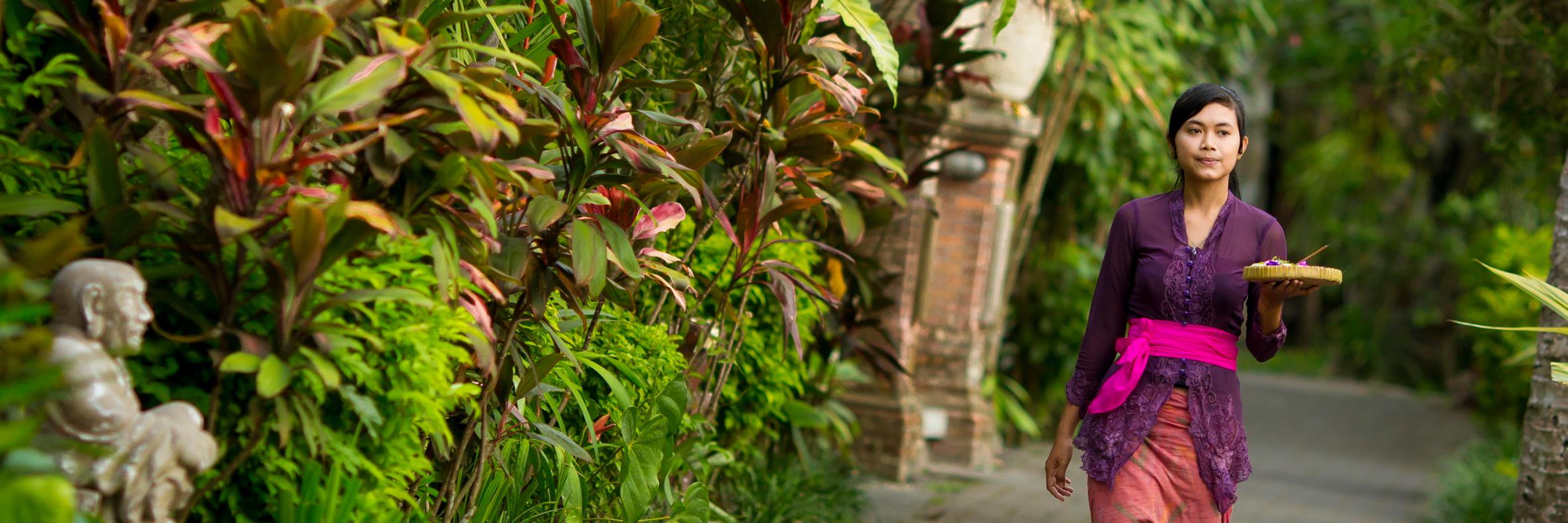 TamanHarum's profile banner image