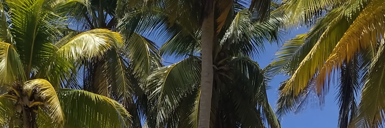 williamvelasco5's profile banner image
