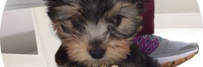 Ronald801016's profile banner image
