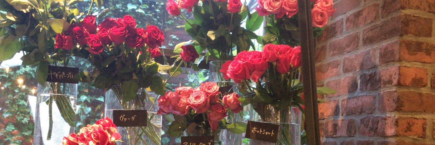 100720081993's profile banner image